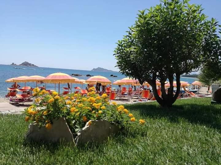 Marina's Ogliastra Lotzorai